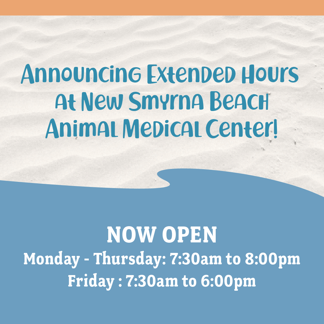 NSBAMC-fb-post-ExtendedHours